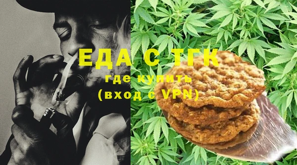 индика Горно-Алтайск