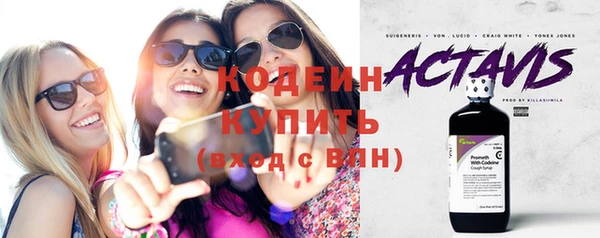 индика Горно-Алтайск