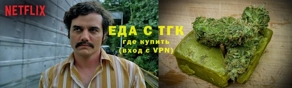 индика Горно-Алтайск