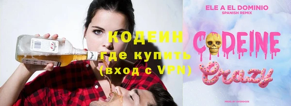 индика Горно-Алтайск