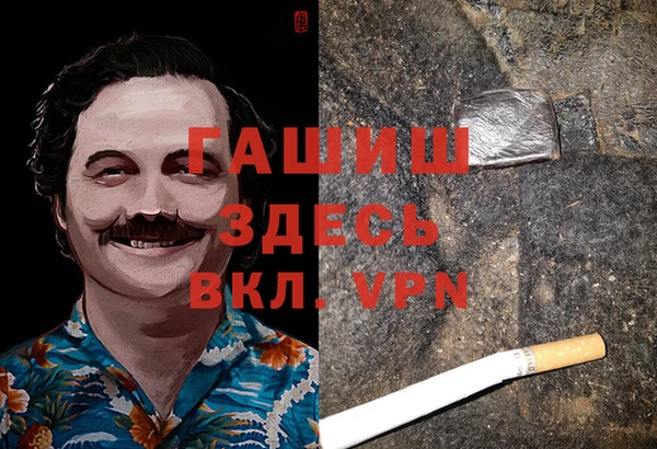индика Горно-Алтайск