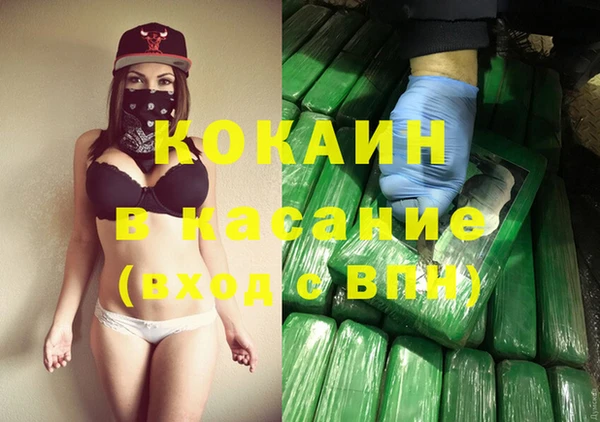 индика Горно-Алтайск