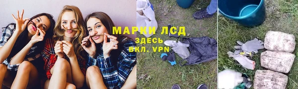 индика Горно-Алтайск