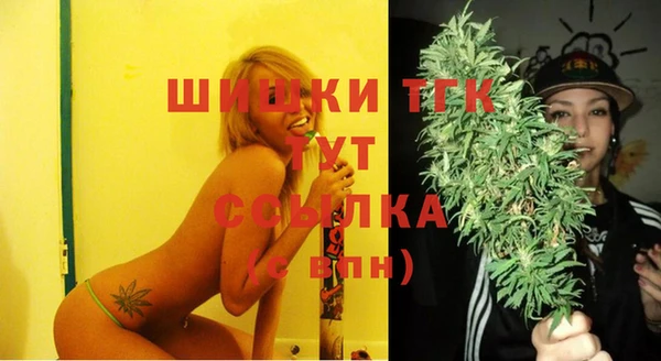 Альфа ПВП Нягань
