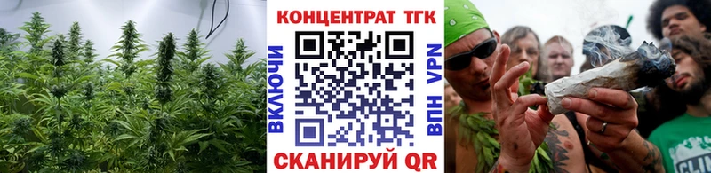 сколько стоит  Нарьян-Мар  ТГК Wax 